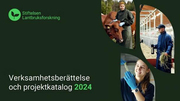 Summering av året från vd och forskningschef, nyckeltal, presentation av styrelse, beredningsgrupper, utlysningar, beviljade projekt och mycket mer.
