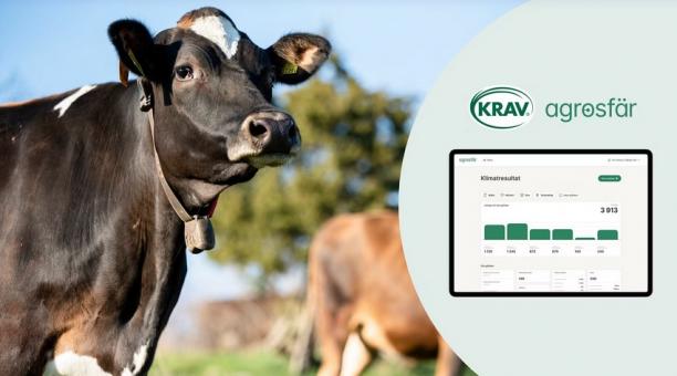 Efter lyckade pilottester har KRAV tecknat avtal med Agronod, företaget bakom klimatberäkningsverktyget Agrosfär. Det innebär att KRAV-lantbrukare kan använda Agrosfär för att smidigt beräkna och rapportera sitt klimatarbete, baserat på gårdens egen data.