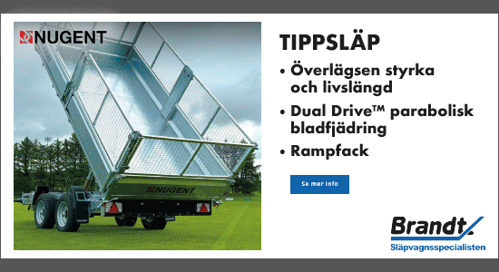 Brandtslap