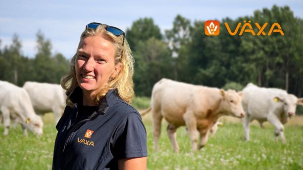 Med priset vill V&auml;xa lyfta betydelsen av att m&auml;ta det som skapar v&auml;rde i dikof&ouml;retaget. Alla bes&auml;ttningar som uppfyller kriterierna kan ans&ouml;ka, oavsett husdjursf&ouml;rening, s&auml;ger Johanna Bengtsson