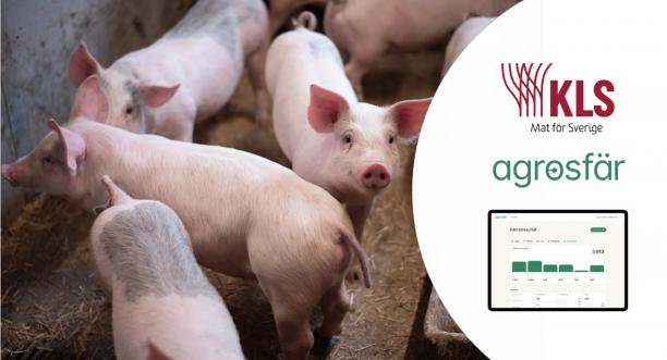 KLS har tecknat avtal med Agronod om att anv&auml;nda Agrosf&auml;r f&ouml;r klimatber&auml;kningar. Det inneb&auml;r att KLS gris- och n&ouml;tproducenter fr&aring;n 2027 kan ber&auml;kna g&aring;rdens klimatavtryck med data fr&aring;n den egna g&aring;rden.