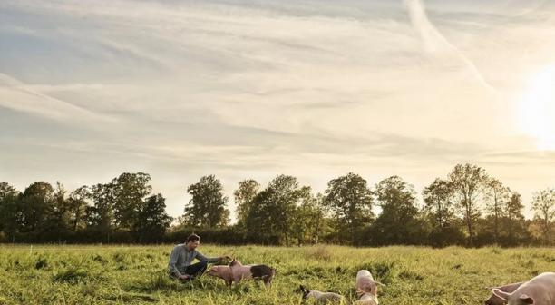Anders Gunnarsson p&aring; Halla g&aring;rd, d&auml;r klimatp&aring;verkan fr&aring;n grisk&ouml;ttet f&ouml;ljs upp &aring;rligen med Agrosf&auml;r.