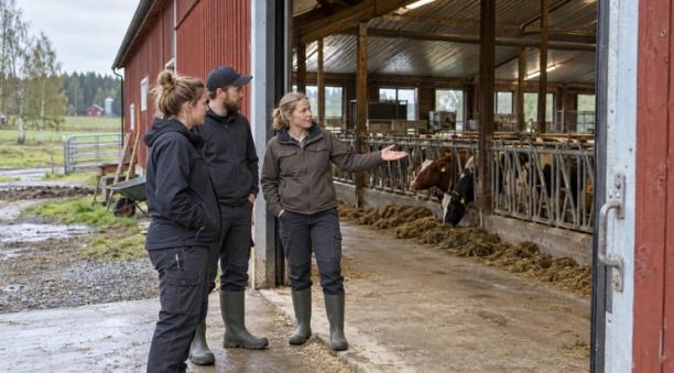 Ny ERFA-grupp f&ouml;r unga och nya lantbrukare som vill utveckla sin g&aring;rd (Bilden &auml;r AI-genererad)