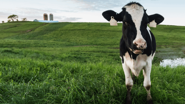 Nordic Agro Summit 2027
