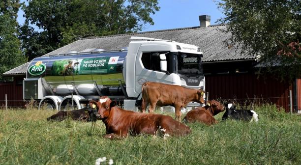 De globala mejerimarknaderna &auml;r fortsatt stabila, &auml;ven om os&auml;kerheten kring det geopolitiska l&auml;get i Mellan&ouml;stern kvarst&aring;r.