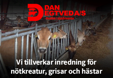 Dan Egtved