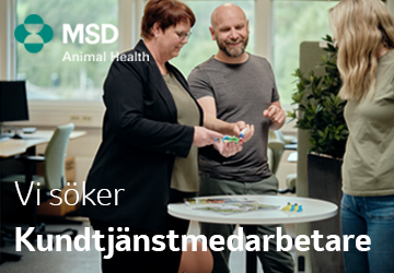 MSD / Stallm�staren