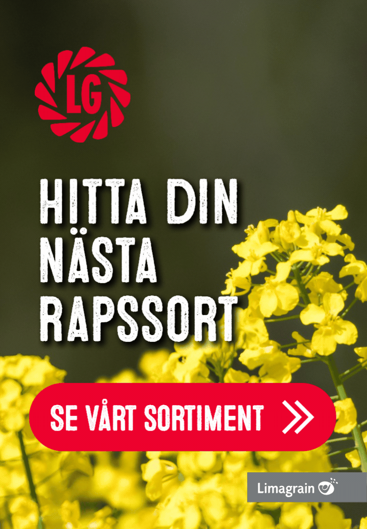LG seeds